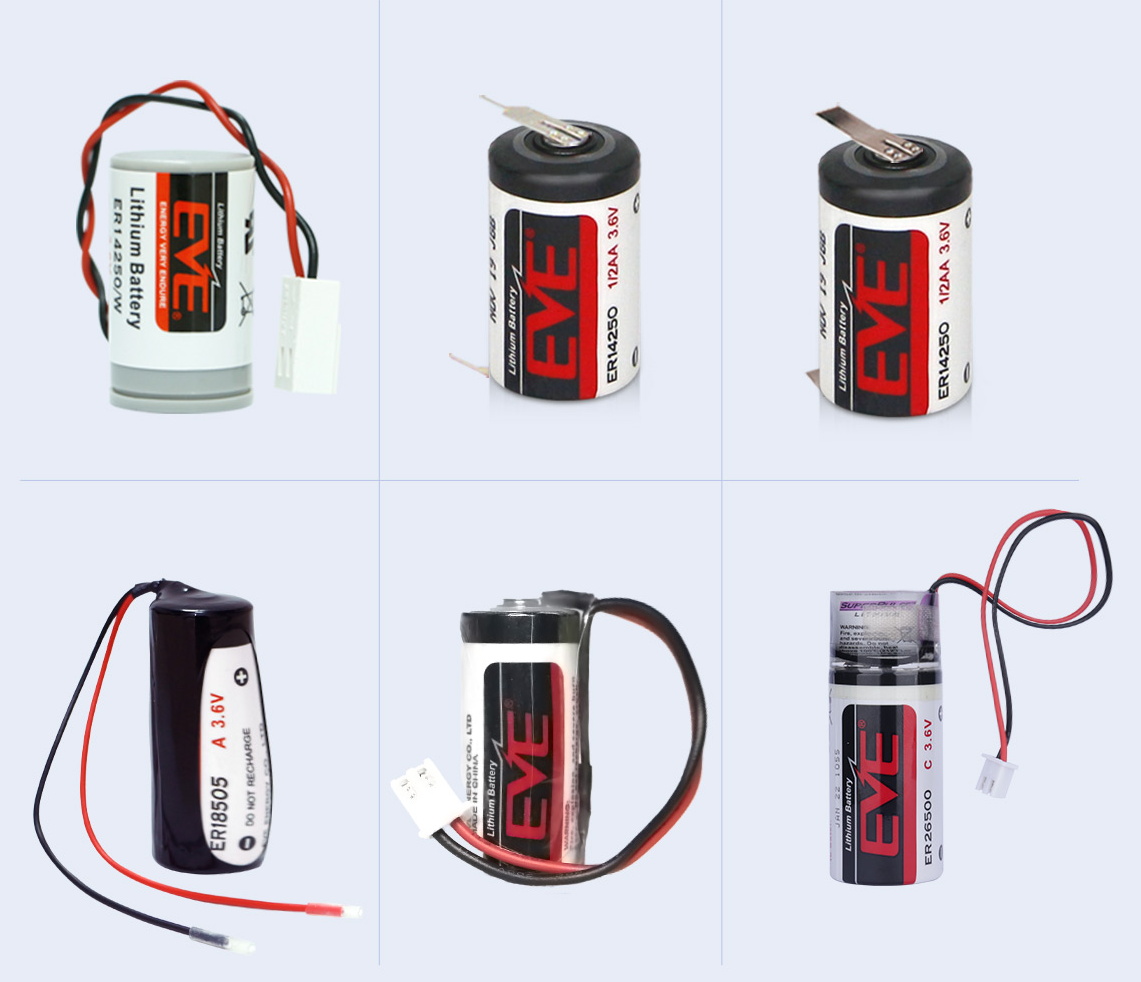 Custom Li-SOCl2 Battery Packs